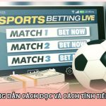 Kèo 2.5 - Hướng Dẫn Cách Đọc Và Cách Tính Tiền Chuẩn Nhất