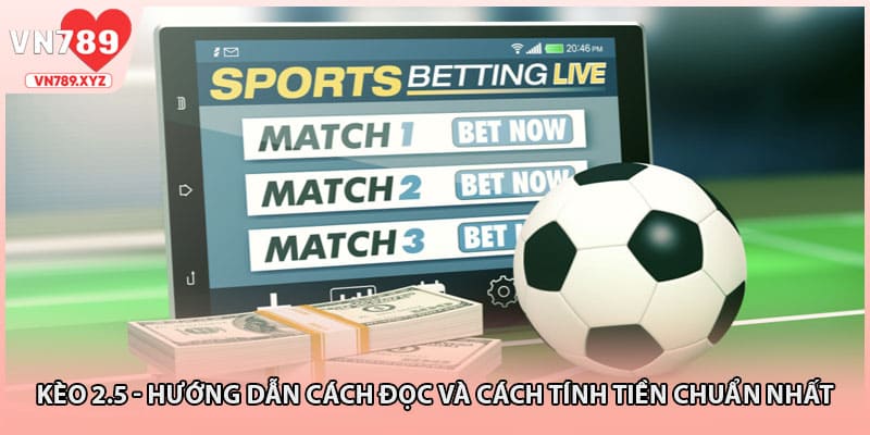 Kèo 2.5 - Hướng Dẫn Cách Đọc Và Cách Tính Tiền Chuẩn Nhất
