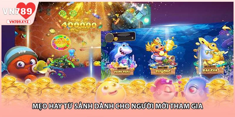 Mẹo hay từ sảnh dành cho người mới tham gia