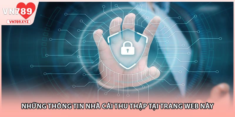 Những thông tin nhà cái thu thập tại trang web này